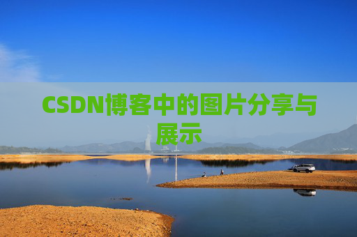 CSDN博客中的图片分享与展示